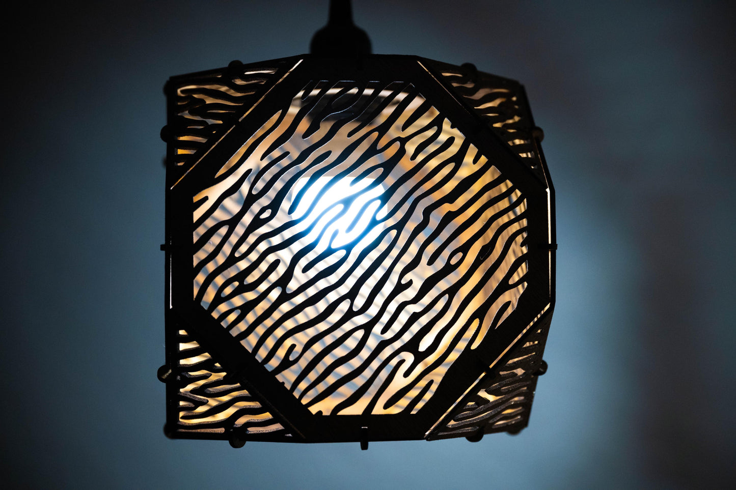 Coral Lantern / Lamp